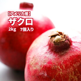楽天市場 石榴の通販