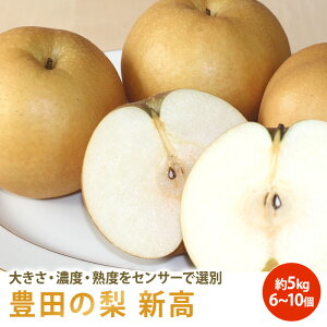 Lc̗ V 3`5 2.5kg@6`10 5kg  Mtg ʕ t[c h{Lx