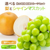 ＼楽天ポイント10倍開催中！／秋の味覚 高級フルーツセット【長野県】シャインマスカット　1房450g以上 4…