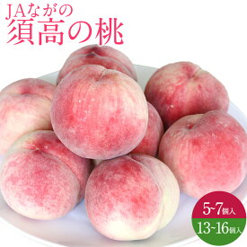 長野県産 須高の桃 2キロ以上 5~7個入り 4.5キロ以上 13~16個入り もも 【送料無料】旬の桃 もも ピーチ フルーツ 夏ギフト 御中元 お中元 熨斗対応
