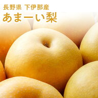 長野産 下伊那のあまーい梨 2.5kg 5〜8個 5kg 14〜16個 10kg 28〜32個入り梨 送料無料 ギフト 果物 フル…