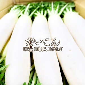 yYz卪 10kg 10 LTCY   _CR fbV  t̎ 