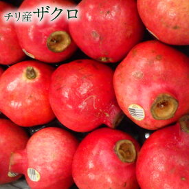 【チリ産】ザクロ 2個~12個 赤い宝石 送料無料 pomegranate 柘榴 石榴 若榴 ざくろ 甘い 果物 フルーツ エアー便　船便 生 フレッシュ