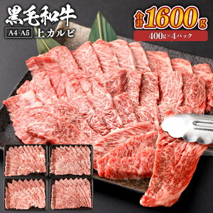 ���јa�� ��J���r A4�`A5���� ��B�Y ���I�ׂ遄(400g×1�p�b�N�`4�p�b�N�E�v400g�`1600g) ������ ���� ���� ���Y�� �a�� ���{�Y ���J���r �ē� �Ă��� BBQ �o�[�x�L���[ �����N ���� ���Y �Ⓚ SQF�F