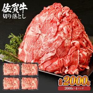 ꋍ ؂藎Ƃ Iׂ遄(500g×1pbN`4pbNEv500g`2000g)    Y a {Y   ؗ  uߕ o[xL[ J[ Ⓚ Y SQFF擾 Mtg 
