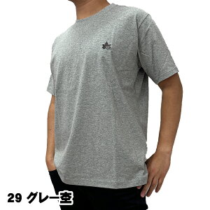 SXp[N LOGOS park  Y |CghJ TVc M,L,LL