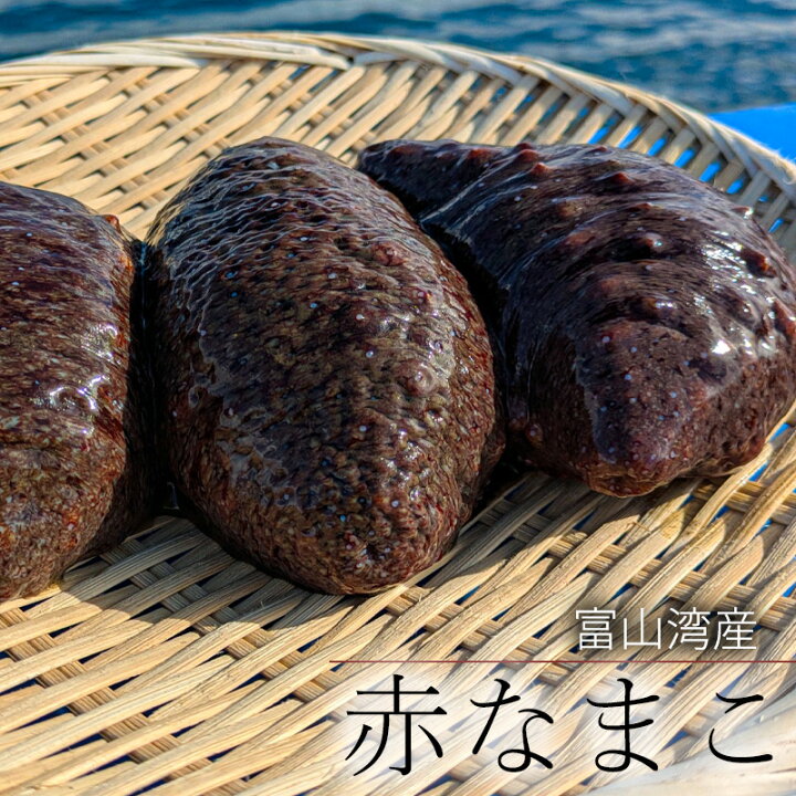 楽天市場】解禁！ 富山湾産 赤ナマコ 1k（1kあたり3匹～6匹 