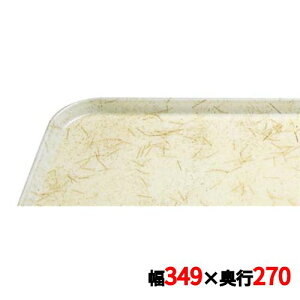 �g���[ �L�����u�� �J���g���C 1014(526)G/A/P/G CAMTRAYS /�Ɩ��p/�V�i/���������Ώۏ��i