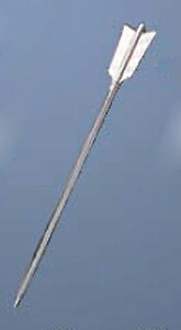 vZbg 24cm H XeX/Ɩp/Vi/Ώۏi