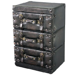 �L���r�l�b�g �`�F�X�g �y�`�F�X�g3D�z IW-873 W41×D31×H60cm /�V�i/������