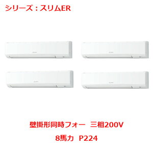 PKZD-ERMP224L5 yOHzGAR Ǌ|` P224 O200V yƖp/Vizyz