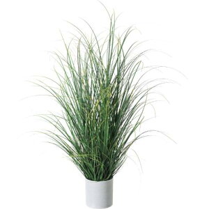 GLA-1563 �J���b�N�X�|�b�g/�S��88cm ��70cm ����13cm×H12.6cm/�Ɩ��p/�V�i/�����ʓr����