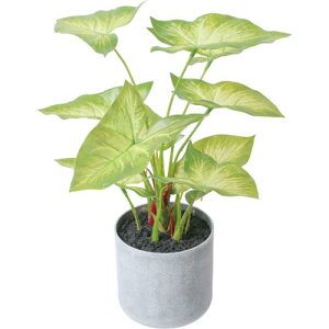 GLA-1600 30cm�V���S�j�E���|�b�g/�S��28cm ��35cm����9cm×H9.5cm/�Ɩ��p/�V�i/�����ʓr����