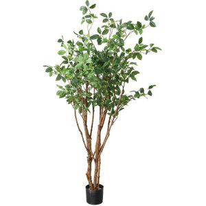 GLP-1553 160cm�K�W���}���c���[/�S��160cm ��100cm ����17cm×H14cm/�Ɩ��p/�V�i/�����ʓr����