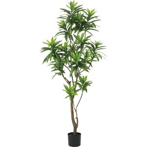 GLP-1556KK �\���O�I�u�W���}�C�J/�S��155cm ��50cm �t :9 �` 17cm ��:H13cm×��14.5cm/�Ɩ��p/�V�i/�����ʓr����