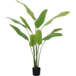 GLP-1579 140cm�g���x���[�Y�p�[��/�S��140cm ��120cm ����15cm×H12cm/�Ɩ��p/�V�i/�����ʓr����