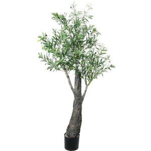GLP-1596 180cm���C�h�g�����N�I���[�u/�S��170cm ��90cm(����20cm×17cm)/�Ɩ��p/�V�i/�����ʓr����