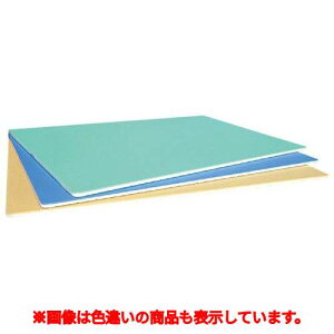 �J���[���� TCSK8-6040 600×400×8 G(�O���[��)/�Ɩ��p/�V�i/���������Ώۏ��i