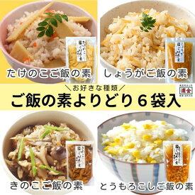 送料無料 炊き込みご飯の素 2合用 選べる6袋 お得セット 時短 お弁当 おにぎり 簡易包装 常温 簡単 冷めてもおいしい
