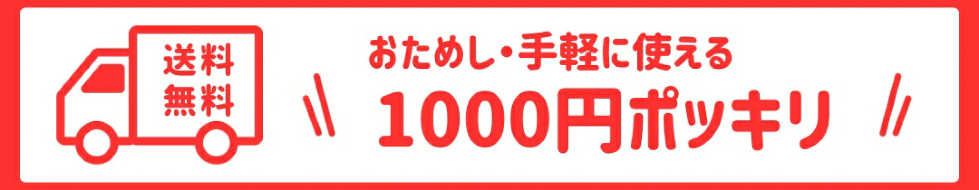 1000円ポッキリ送料無料