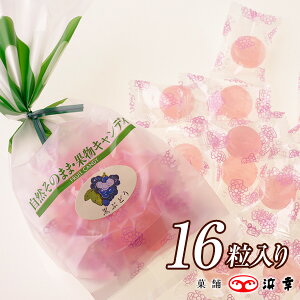 ỷʕLfB Ԃǂ16(4485)y  yY yY Mtg  yY َq v[g m uhE iiz