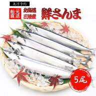【2026新物】先行予約 生さんま 5尾入 北海道産 刺身用 鮮魚 お届け9月中頃～