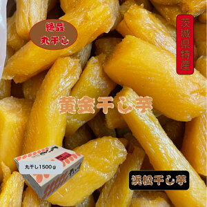 gnJ ۊ 1500gx1ol 錧Y YY Yn _炩 Â  ق  َq aَq XC[c RHi _CGbgHi ۑH H  