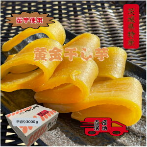 gnJ ol 3000g 錧Y YY Yn _炩 Â  ق  َq aَq XC[c RHi _CGbgHi  ܂ Mtg