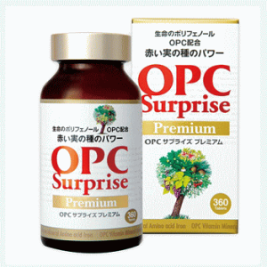 UNqGLXTv@OPCTvCY v~A 1r 360 |CgUPLy[y^[pbNzOPC ڊo߃XbL |tFm[ UN UNq uhE A V