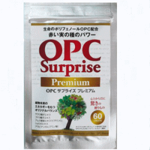 UNqGLXTv OPCTvCY v~A 1 60 Ly[y䂤pPbgzOPC ڊo߃XbL |tFm[ UN UNq uhE