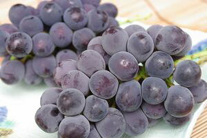 sI[lʐM̔ 嗱n̍Ԃǂ̔B2[ 1100g REYn