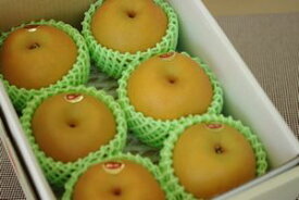 南水梨通販 糖度約13度の和梨を販売取寄。小箱 約4玉〜約6玉 長野・他産地