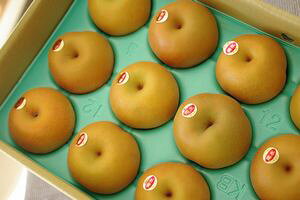 쐅̔ x13x̘aʔ̂ŁB5kg 8ʁ`14 EYn