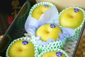 栃木幸水通販 那須野自信作和梨を販売取寄。糖度約13度 小箱 約5玉〜6玉 栃木産