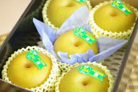 新潟県 幸水梨の通販 糖度13度以上。一糖賞・糖鮮確実・梨の実館 小箱 約5玉〜約6玉