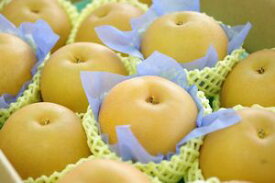 秋月梨（あきづき梨）取寄販売　和梨を通販で。約5kg 約8玉〜約14玉 千葉・他産地