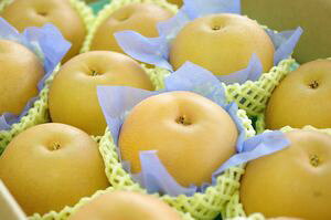 HiÂj̔@aʔ̂ŁB5kg 8ʁ`14 tEYn
