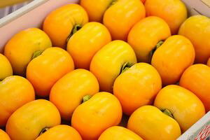 `ʐM̔ 킪Ȃ߂炩ȐH̊`̔ 3.5kg 14ʁ`18 R`Y