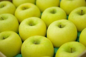 シナノゴールドりんご取寄販売 爽やかな酸味が特徴のシナノりんごを通販で。約5kg 約14玉〜約18玉 山形・長野・他産地