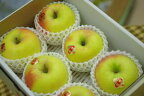 ぐんま名月りんご通販 お歳暮林檎に。隠れた銘品種りんごを販売取寄。小箱 約5玉〜約6玉 群馬・長野・他産地