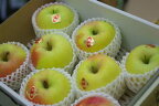 ぐんま名月りんご通信販売 お歳暮林檎に。隠れた銘品種りんごを販売取寄。中箱 約7玉〜約9玉 群馬・長野・他産地