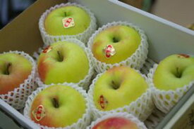 ぐんま名月りんご通信販売 お歳暮林檎に。隠れた銘品種りんごを販売取寄。中箱 約7玉〜約9玉 群馬・長野・他産地