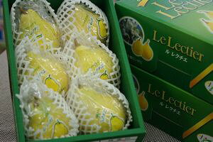 Ε郋N`Fʔ VY̐mN`F̔B2kg 5ʁ`7