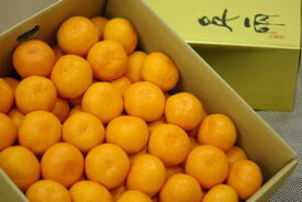 日の丸ゴールドみかん販売 通販で愛媛日の丸豪琉頭千両をお歳暮みかんに 特秀品 S〜L