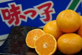 味っ子みかん通信販売 長崎県JA西海産をお歳暮長崎みかんに 糖度13度以上 約2.5kg