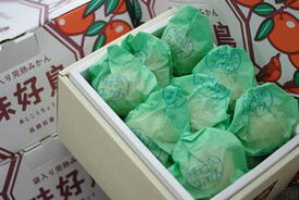 味好鳥みかん（あじこうちょう）通販 お歳暮長崎県諫早産蜜柑　袋入 約3kg