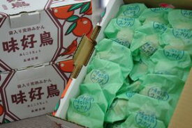 味好鳥みかん（あじこうちょう）通販 お歳暮長崎県諫早産蜜柑　袋入 約4kg 約55玉～約70玉