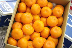 nCO[h݂ʐM̔ JA݂̍ōΕF{݂ x14xȏ 4kg