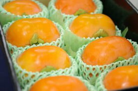 次郎柿（じろうがき）通販 静岡県浜北の甘柿治郎柿を販売取寄。小箱 約9玉