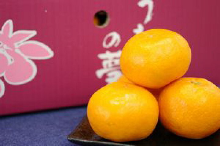 楽天市場 うわばの夢みかん 糖度13度以上 5kg ｓ ｌ 佐賀県産 果物百貨店 浜中屋